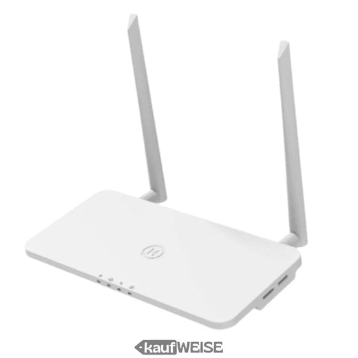 Hoymiles DTU-Pro-S – Registratore dati WLAN per microinverter | Monitoraggio e sorveglianza